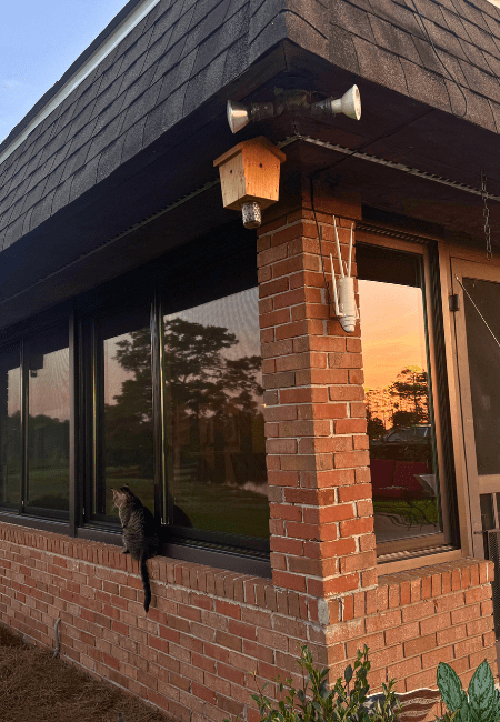Windows & Doors